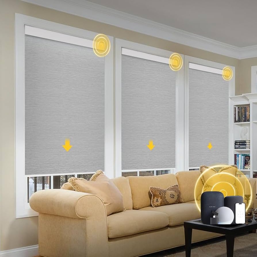 Motorized Blinds 