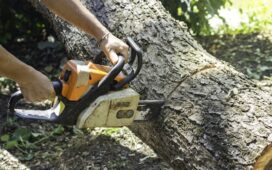 Tree-Care-and-Maintenance-Services